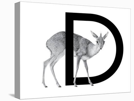 D is for Dikdik-Stacy Hsu-Stretched Canvas