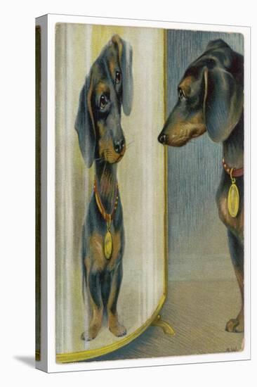 Dachshund Admires Its Reflection in a Distorting Mirror-null-Stretched Canvas