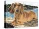 Dachshund in the Bay-Barbara Keith-Premier Image Canvas