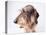 Dachshund Looking Away-Ted Horowitz-Premier Image Canvas