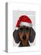 Dachshund-Fab Funky-Stretched Canvas