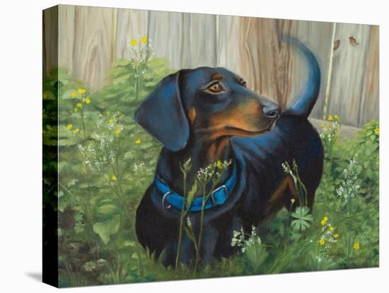 Dachshund-Tiffany Hakimipour-Stretched Canvas