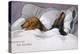 Dachshunds in Bed a Marriage of Convenience-null-Premier Image Canvas