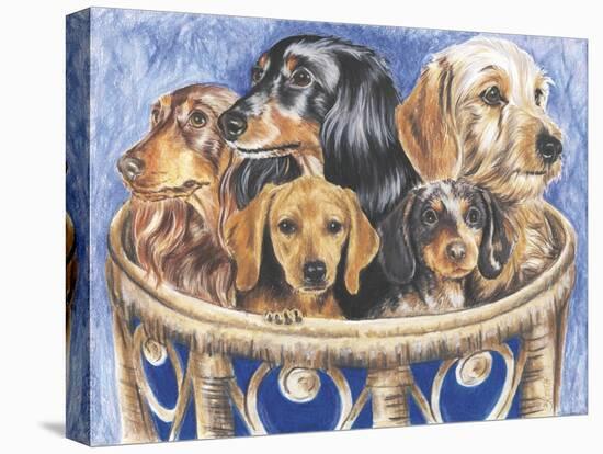 Dachsund in a Basket-Barbara Keith-Premier Image Canvas