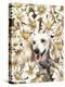 Dachsund in Daisies-Barbara Keith-Premier Image Canvas