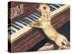 Dachsund Playing Piano-Barbara Keith-Premier Image Canvas