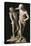 Daedalus and Icarus-Antonio Canova-Premier Image Canvas