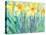 Daffodil Blooms I-Samuel Dixon-Stretched Canvas