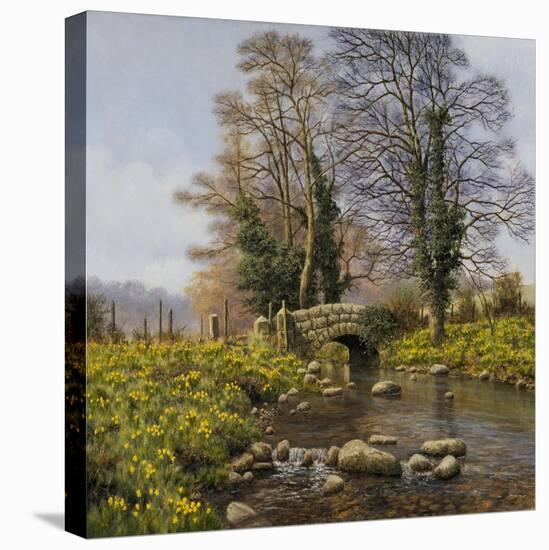 Daffodil Bridge-Bill Makinson-Premier Image Canvas