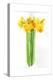 Daffodil Bunch, 2014-John Keeling-Premier Image Canvas