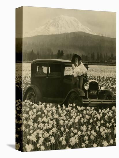 Daffodil Field, Automobile and Mount Rainier, ca. 1929-Marvin Boland-Premier Image Canvas