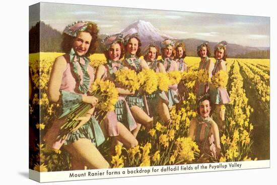 Daffodil Maidens, Puyallup Valley, Washington-null-Stretched Canvas