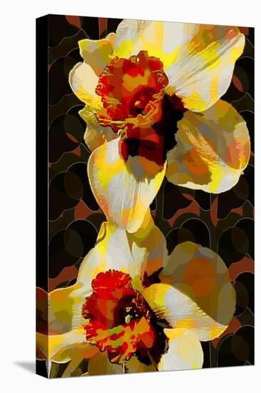 Daffodil-Scott J. Davis-Premier Image Canvas