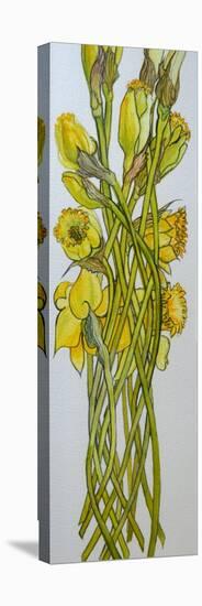 Daffodils,2008,-Joan Thewsey-Premier Image Canvas