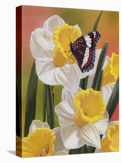 Daffodils and Butterfly-William Vanderdasson-Premier Image Canvas