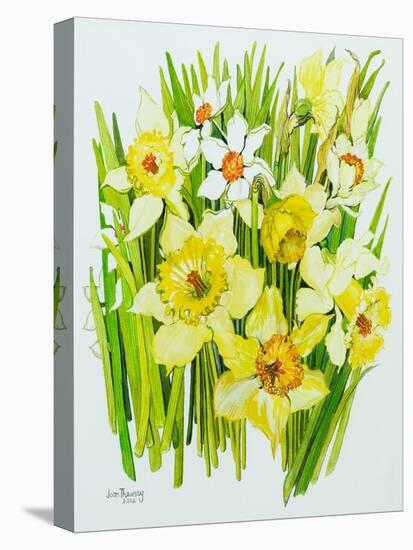 Daffodils and narcissus-Joan Thewsey-Premier Image Canvas