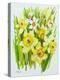 Daffodils and narcissus-Joan Thewsey-Premier Image Canvas