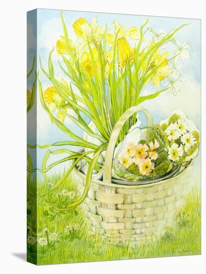 Daffodils and primroses in a basket-Joan Thewsey-Premier Image Canvas