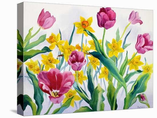 Daffodils and Tulips-Christopher Ryland-Premier Image Canvas