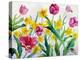 Daffodils and Tulips-Christopher Ryland-Premier Image Canvas