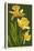 Daffodils - Green Background-Lantern Press-Stretched Canvas
