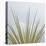 Dagger Yucca-Ken Bremer-Stretched Canvas