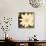 Dahlia Cream II-Joseph Eta-Stretched Canvas displayed on a wall