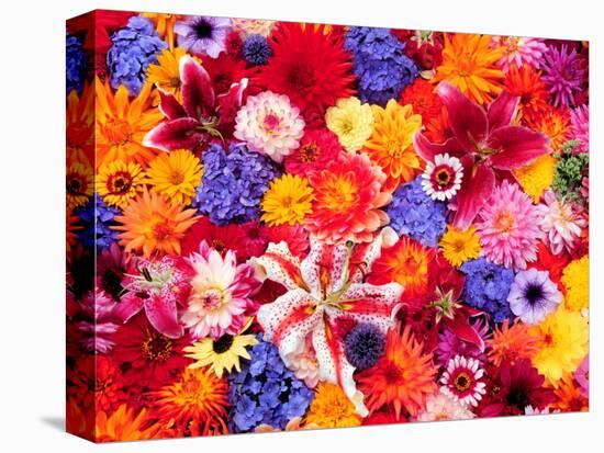 Dahlia, Oriental Lilies, Sunflower, Petunia, Zinnia, Hydrangea Bloom, Sammamish, Washington, USA-Darrell Gulin-Premier Image Canvas