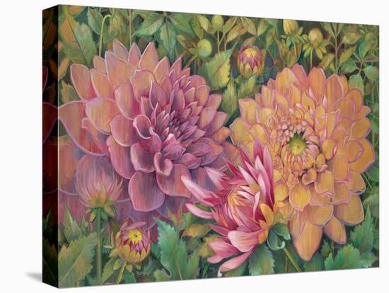 Dahlia Profile 1-Vera Hills-Stretched Canvas