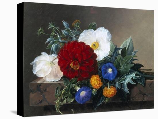Dahlia with White Poppies, Cherianthus and Morning Glories-Johan Laurentz Jensen-Premier Image Canvas