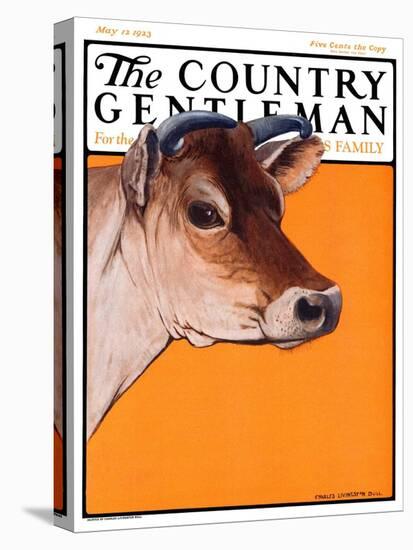 "Dairy Cow," Country Gentleman Cover, May 12, 1923-Charles Bull-Premier Image Canvas