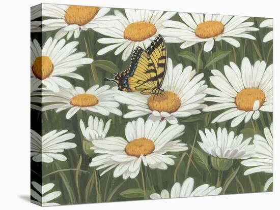 Daisies and Butterfly-William Vanderdasson-Premier Image Canvas