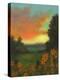 Daisies at Sunset-David Swanagin-Stretched Canvas