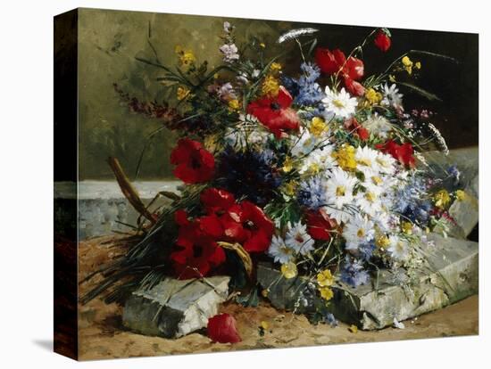 Daisies, Cornflowers and Poppies-Eugene Henri Cauchois-Premier Image Canvas