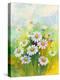 Daisies in a Flower-ZPR Int’L-Premier Image Canvas
