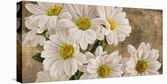 Daisies in the Moonlight-Jenny Thomlinson-Stretched Canvas