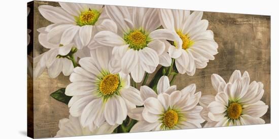 Daisies in the Moonlight-Jenny Thomlinson-Stretched Canvas