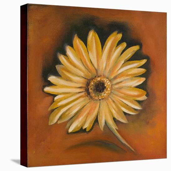 Daisy Collection I-Nelly Arenas-Stretched Canvas