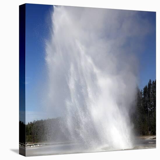 Daisy Geyser Erupting, Upper Geyser Basin Geothermal Area, Yellowstone National Park-Stocktrek Images-Premier Image Canvas