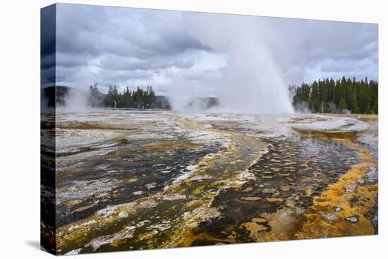 Daisy Geyser, Upper Geyser Basin, Yellowstone National Park, Wyoming, United States of America-Gary Cook-Premier Image Canvas