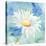 Daisy Sunshine II-Regina Moore-Stretched Canvas