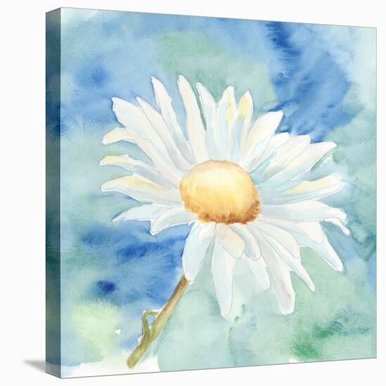 Daisy Sunshine II-Regina Moore-Stretched Canvas