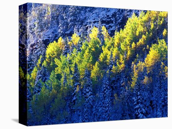 Dallas Divide, Uncompahgre National Forest, Colorado, USA-Art Wolfe-Premier Image Canvas