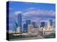 Dallas Skyline-Murat Taner-Premier Image Canvas