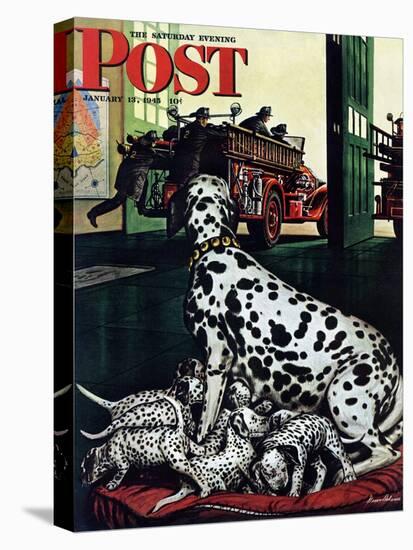 "Dalmatian and Pups," Saturday Evening Post Cover, January 13, 1945-Stevan Dohanos-Premier Image Canvas