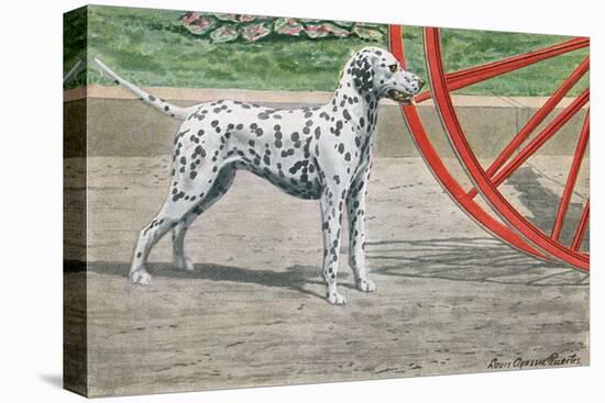 Dalmatian by Coach Wheel-Louis Agassiz Fuertes-Stretched Canvas