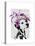 Dalmatian with Purple Fascinator-Fab Funky-Stretched Canvas