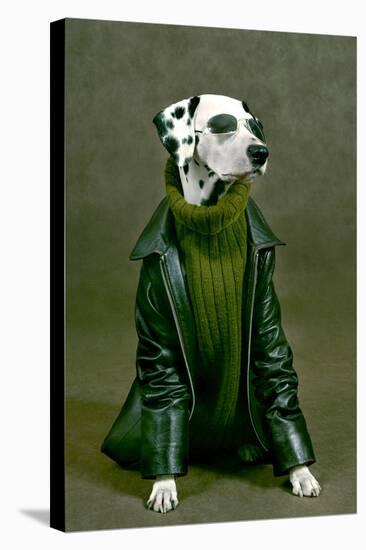 Dalmatian-ingret-Premier Image Canvas