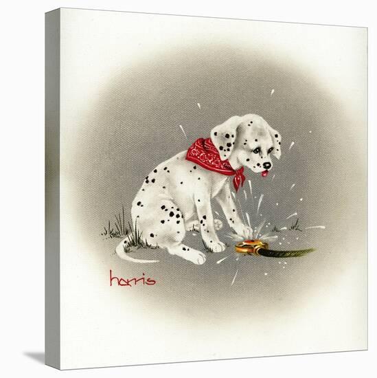 Dalmation 3- Sprinkles-Peggy Harris-Premier Image Canvas