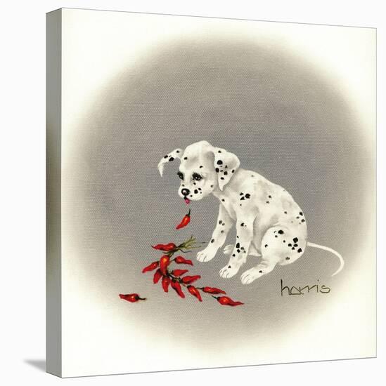 Dalmation 5 - Chile Dog-Peggy Harris-Premier Image Canvas